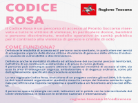 CODICE ROSA: PROTEZIONE IMMEDIATA PER CHI SUBISCE VIOLENZA